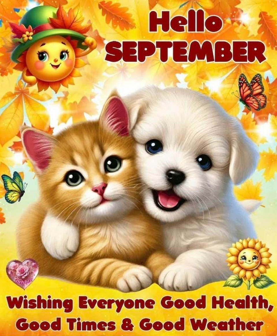Sept fav
