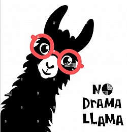 Black Lama