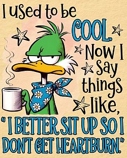 Cool Duck