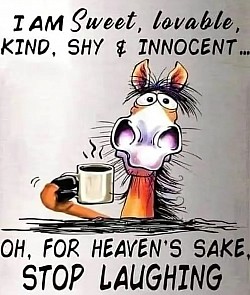 Horse coffee