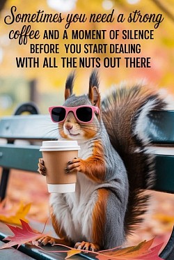 Squirrel Coffee