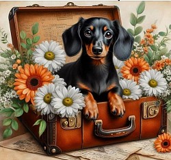 Dog suitcsse