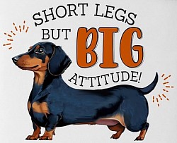 Big Attitude