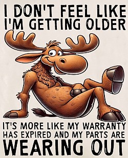 Moose