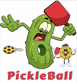 PickleBall Hole