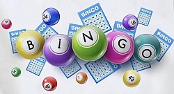 Bingo 43