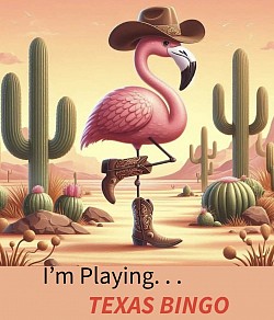 I’m playing Texas Bingo