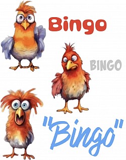 Bingo Bingo Bingo