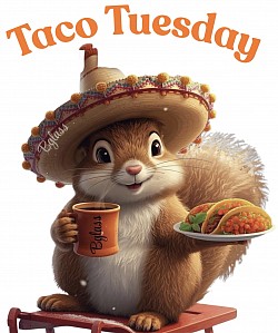 Squirrel Taco Tuesday